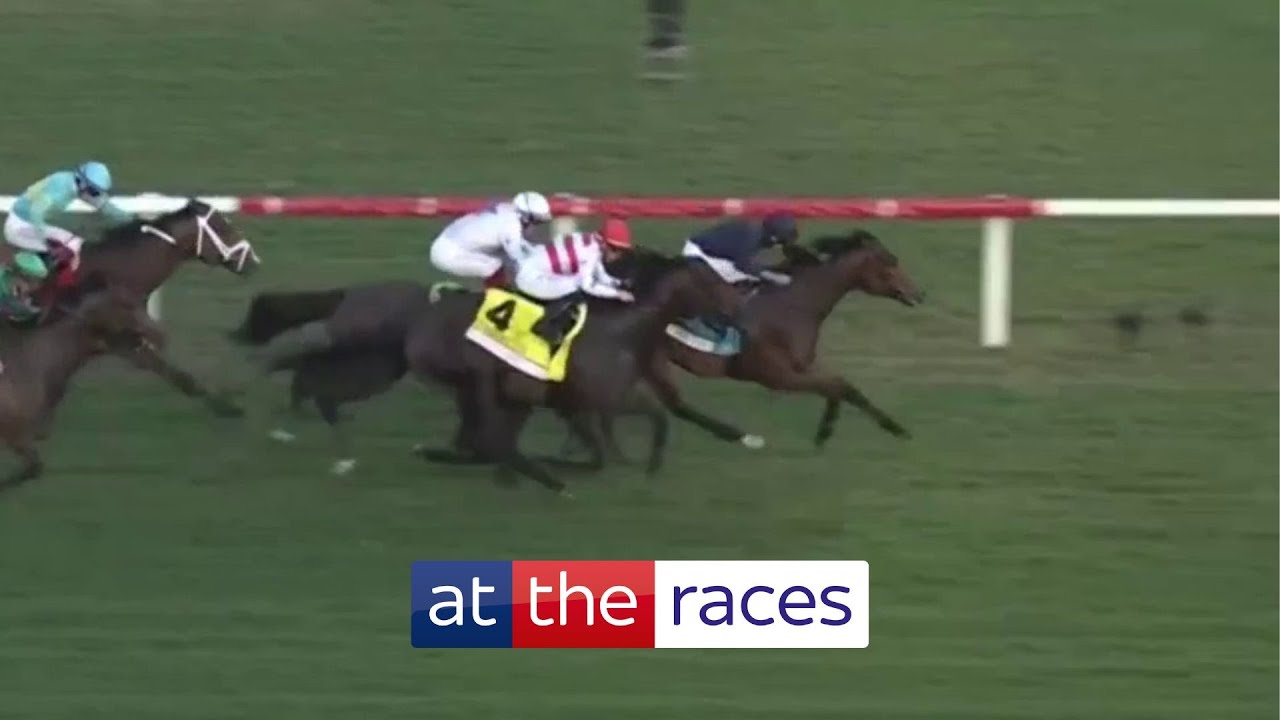 Stunning ride! WARM HEART takes Pegasus World Cup Turf under inspired RYAN MOORE!