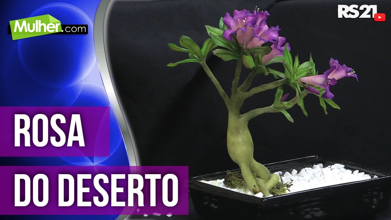 Rosa do deserto | Parte 1 | Mulher.com | 22/02/2013 | @RedeSeculo21