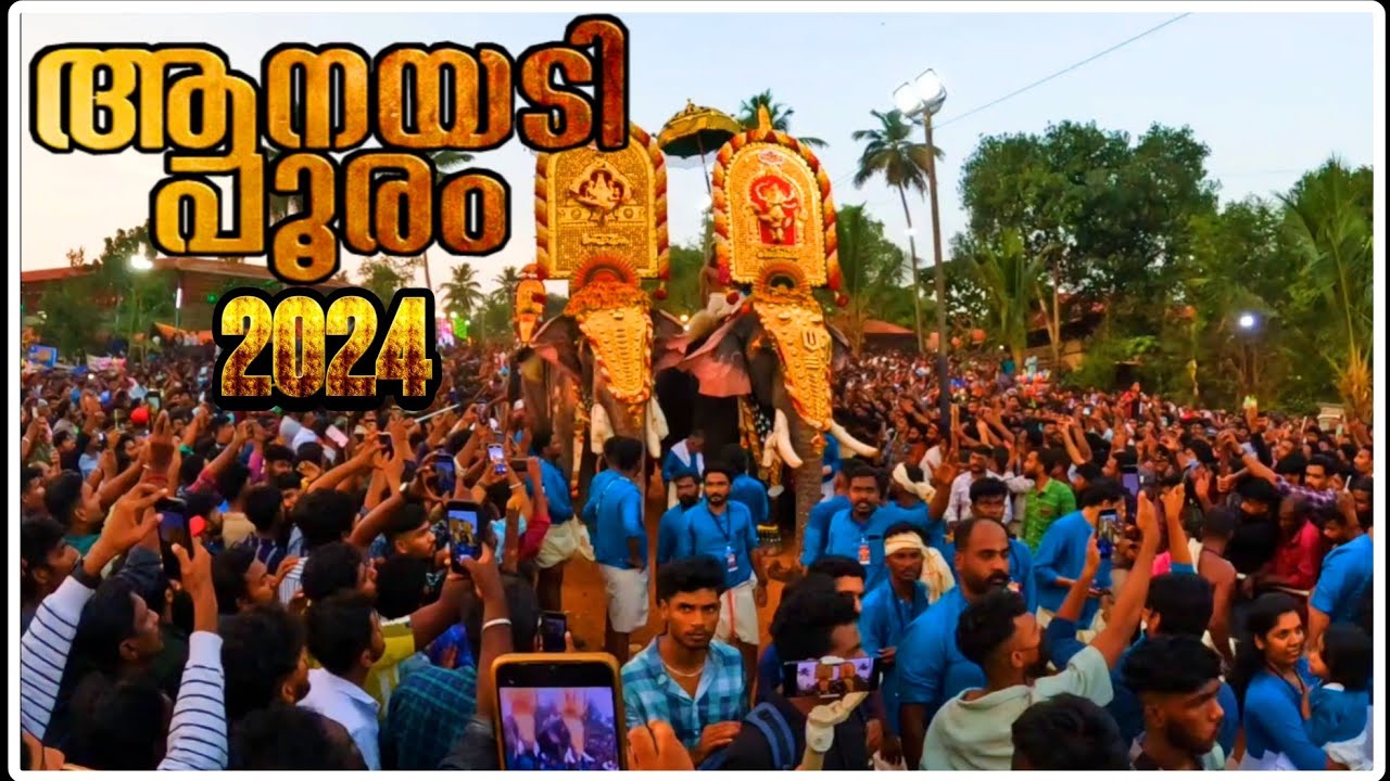 Anayadi Pooram 2024 // നിരനിരയായി ആനകൾ ആർത്തിരമ്പി ജനക്കൂട്ടം