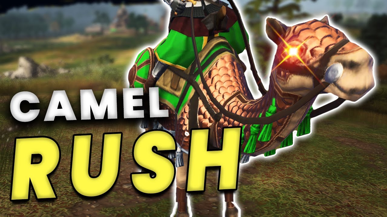 The Best AYYUBID Build to End Games FAST (Win in 15 mins or less, Full Guide)