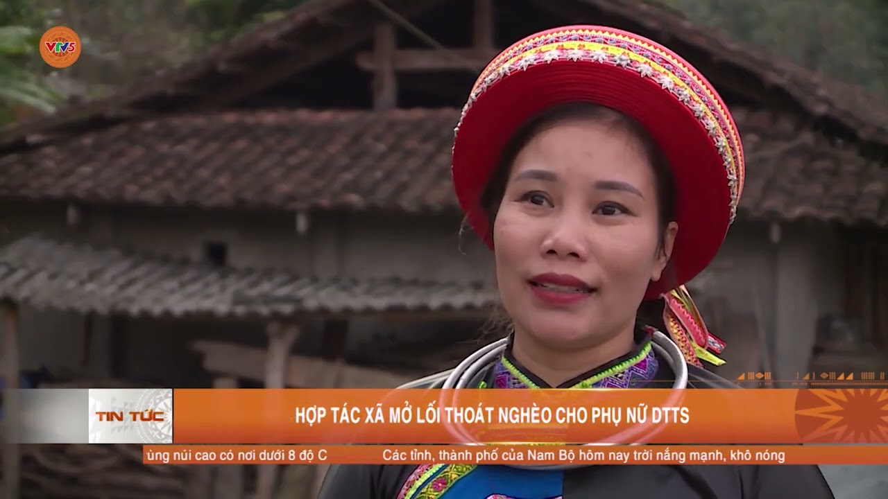 HỢP TÁC XÃ MỞ LỐI THOÁT NGHÈO CHO PHỤ NỮ DTTS | VTV5