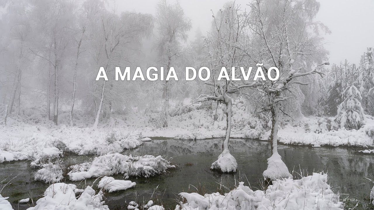A Magia do Alv&atilde;o