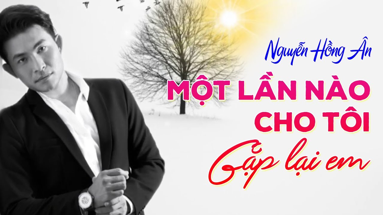 Một Lần Nào Cho Tôi Gặp Lại Em - Nguyễn Hồng Ân | Nhạc trữ tình bất hủ hay nhất