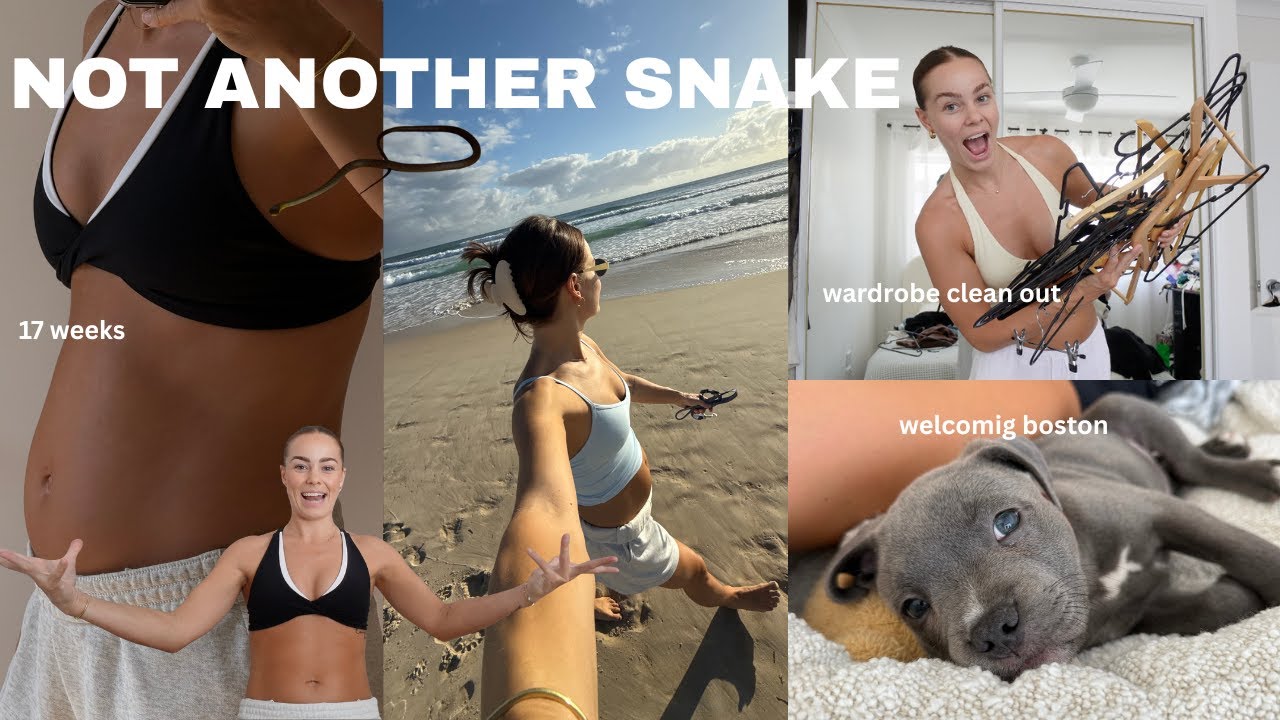 A week of this, that & everything!! Pregnancy updates, snakes & trying to settle into 2026..