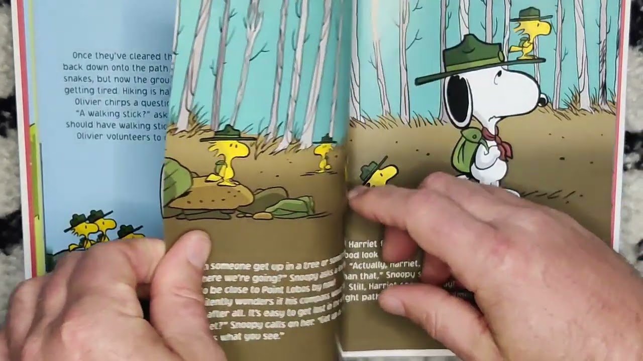Snoopy and Woodstock's Great adventure