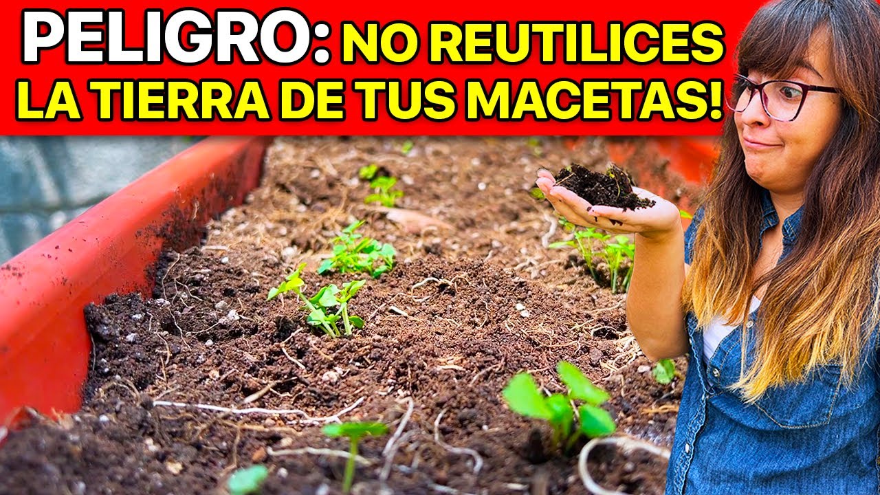 ✅ COMO REUTILIZAR la TIERRA de las MACETAS VIEJAS 🤩 NO Hacerlo podr&iacute;a ser FATAL! 🥀