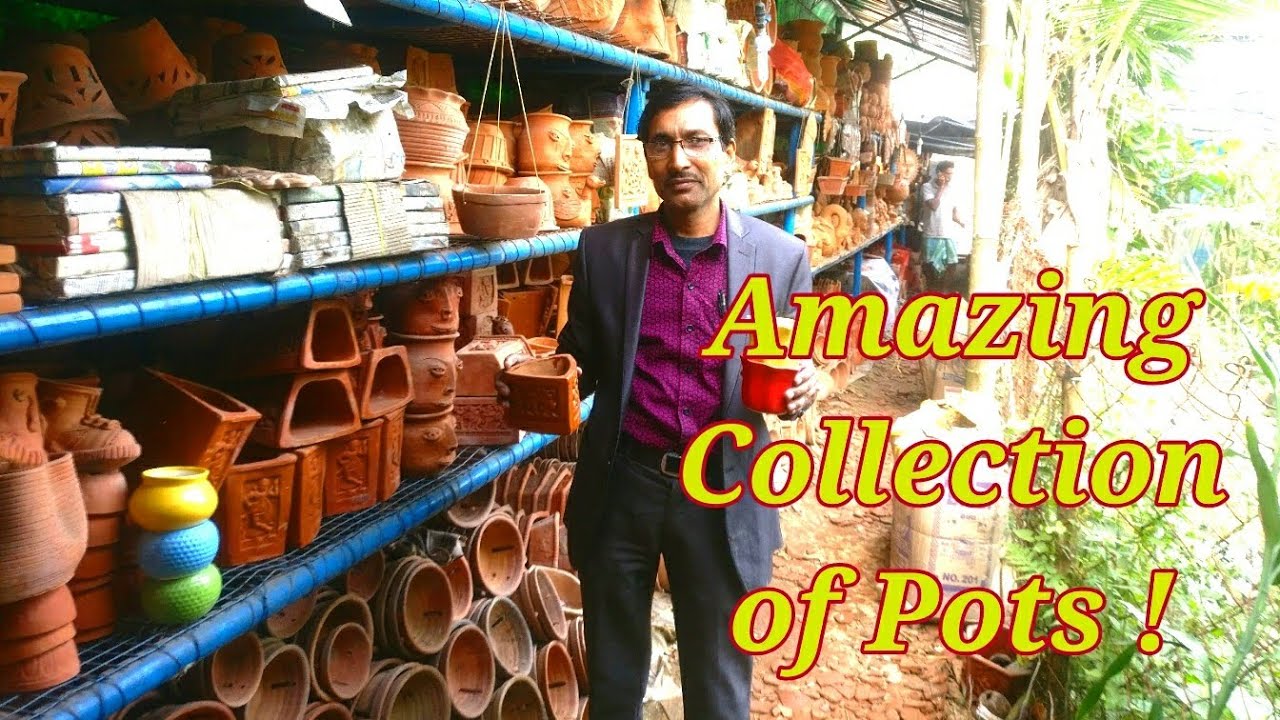 What a Lovely Collection of Pots ! YOU WOULD AMAZED TO SEE.