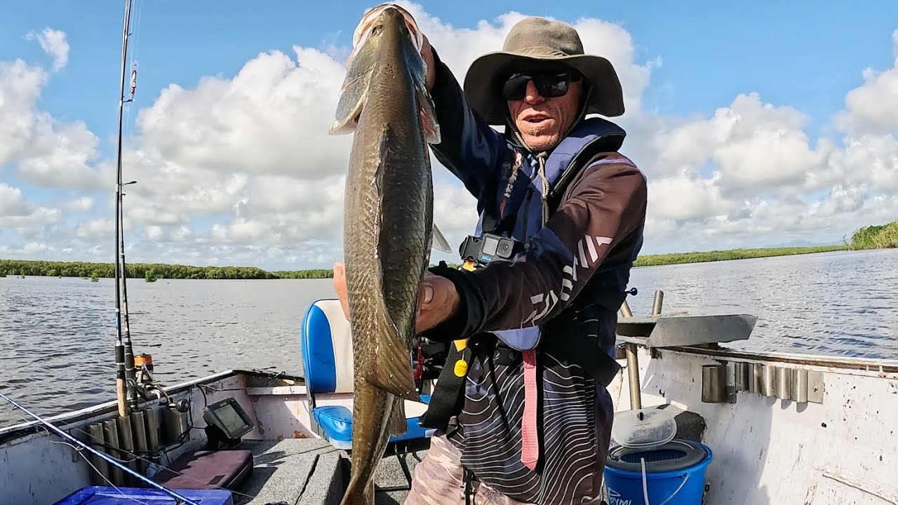 First barramundi (Catch & Cook Bull shark)