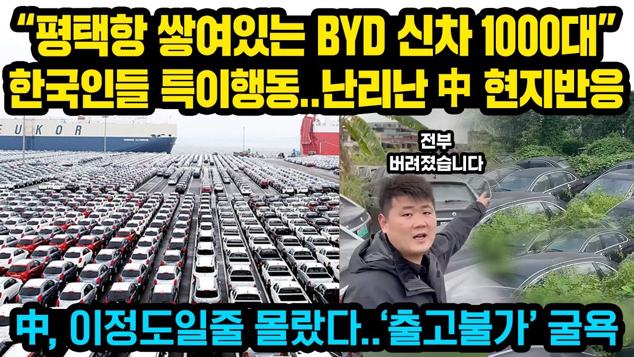 “왜 아무도 안사는거냐” BYD 망연자실..현재 평택항 쌓여있는 BYD 신차 1000대, 한국인들 초강력 행동에 크게 당황한 이유..中, 이정도일줄 몰랐다..’출고불가상황’