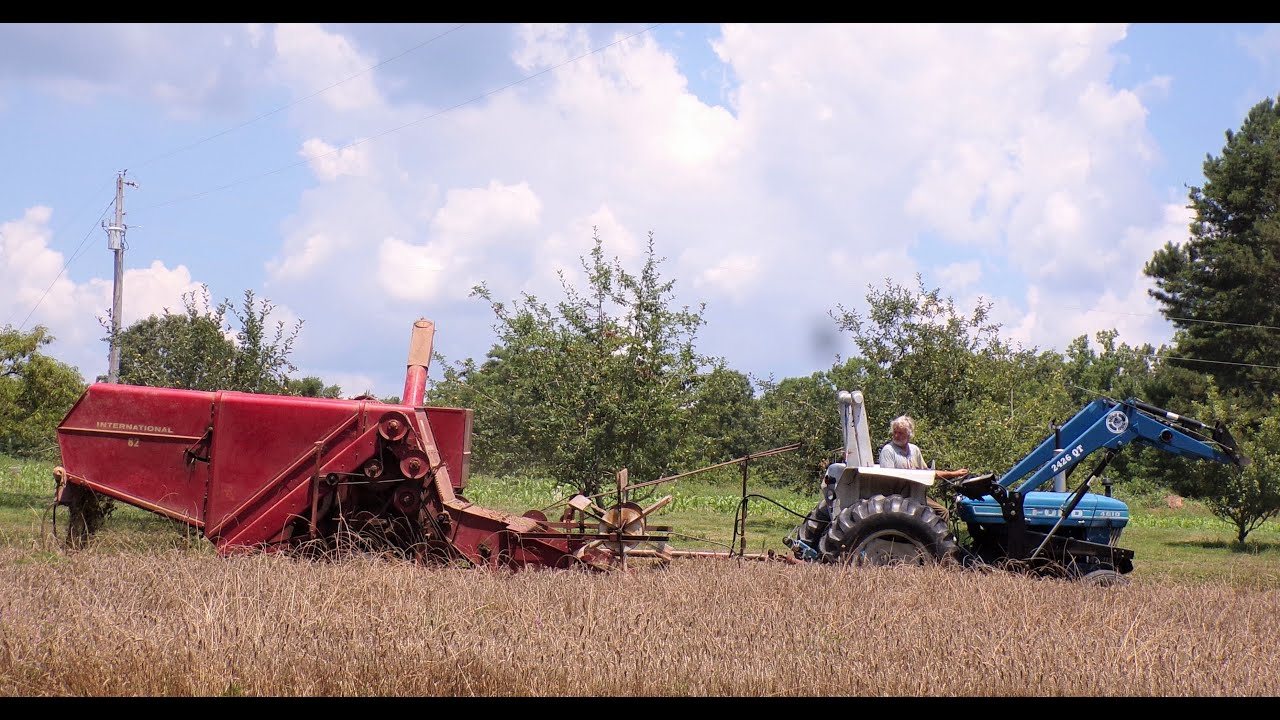 Уборка пшеницы комбайном International Harvester 82