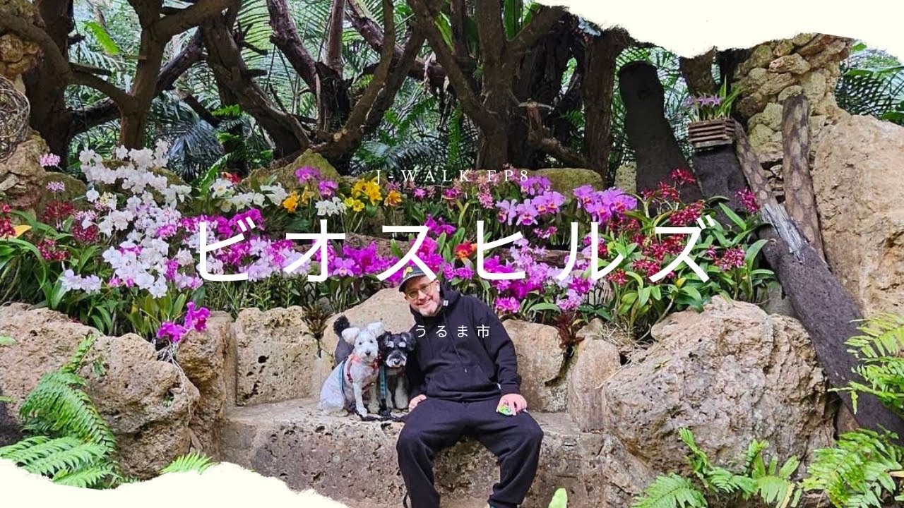 初めていたビオスヒルズうるま市沖縄犬と🐶
