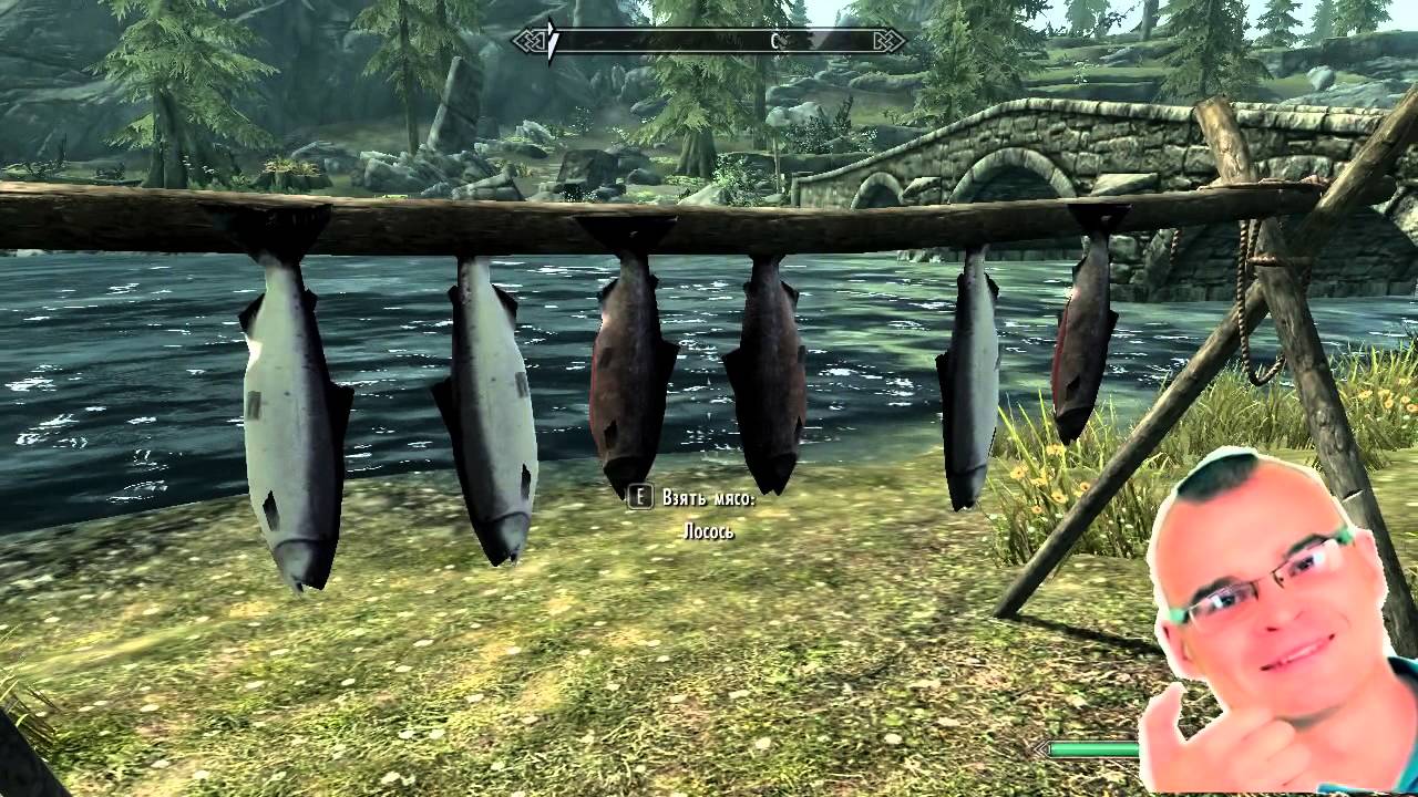 Вся суть Skyrim