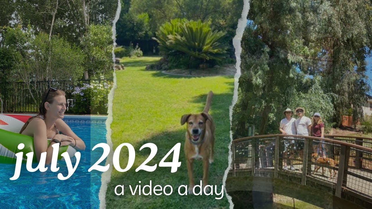 a video a day | july 2024