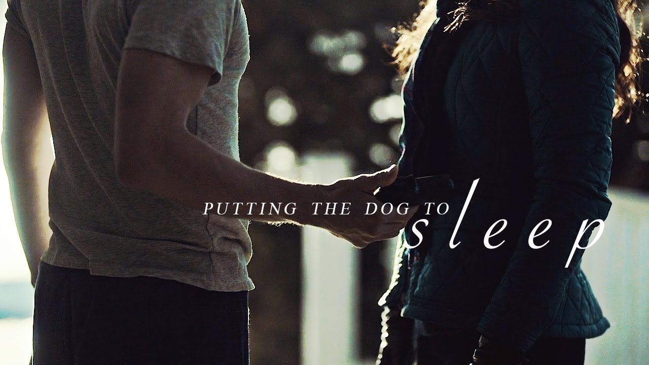 will & alana | putting the dog to sleep
