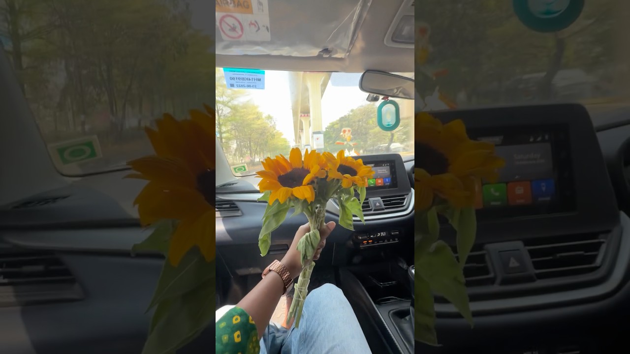 तहान लागली की विहीर खोदायची 🌻 #dailyvlog #minivlog #marathi #youtubeshorts #ytshorts #valentinesday