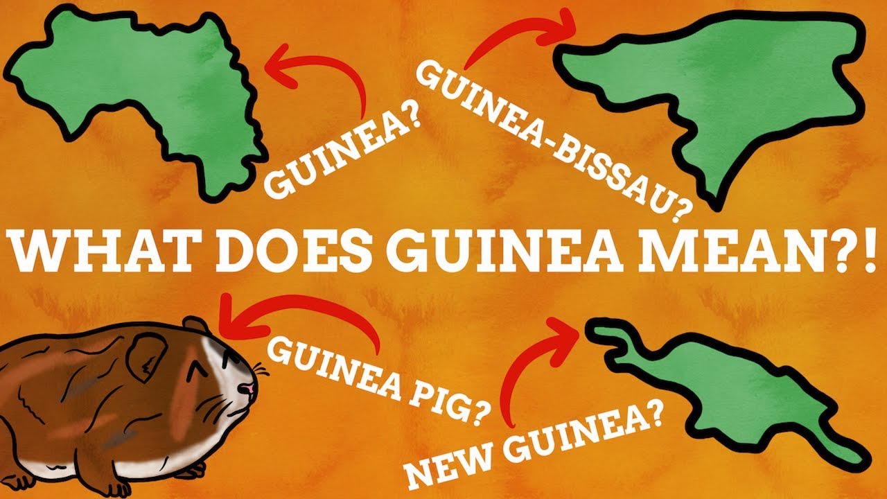 Why Do Many Countries Have Guinea In Their Name?