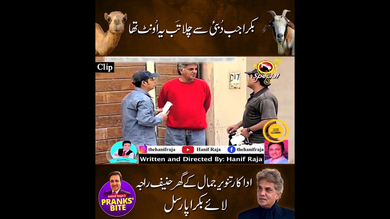 Bakra Prank With Tanveer Jamal (Actor) | Prank By Hanif Raja