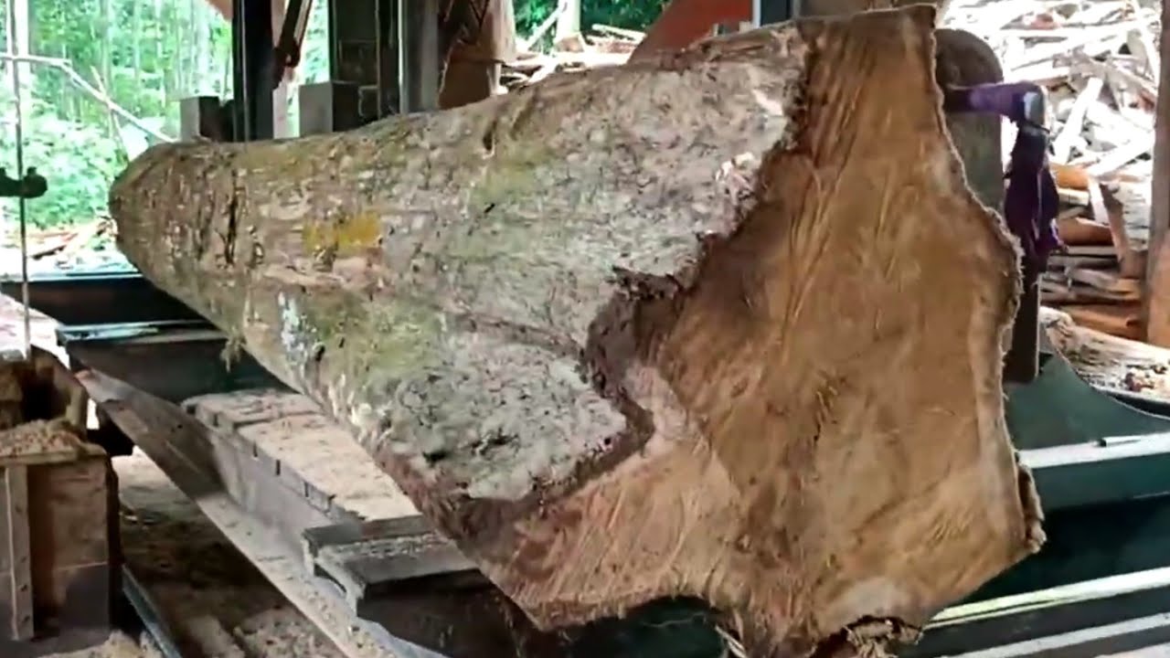 Fantastic prices for teak wood for furniture materials 