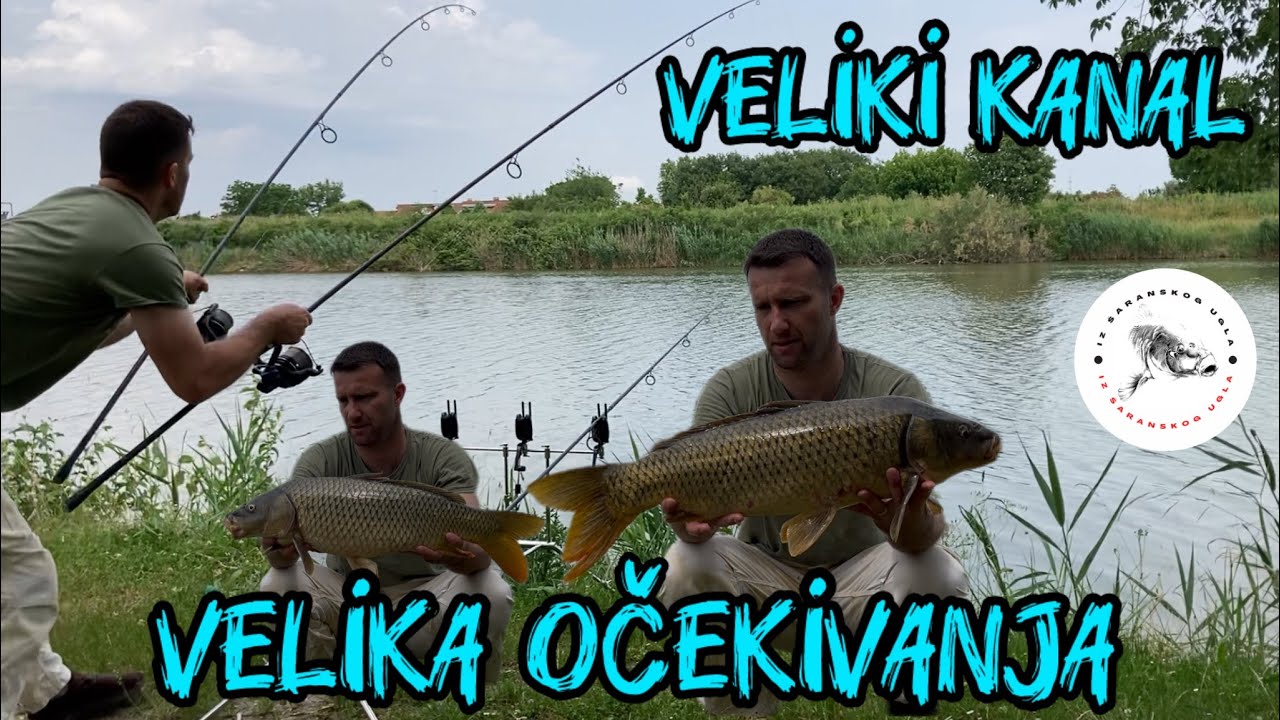 PECANJE ŠARANA na VELIKOM KANALU [] DOUBLE RUN, a DEVERIKA kao LOPATA