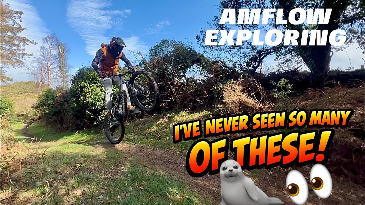 A PERFECT MANX SPRINGS DAY! EXPLORING THE ISLAND ON THE AMFLOW! 