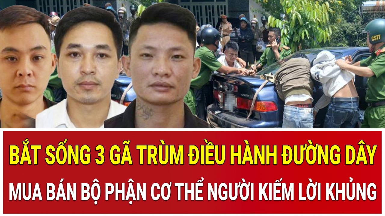 Bản tin sáng 1/3: Bắt sống 3 gã trùm điều hành đường dây mua bán bộ phận cơ thể người kiếm lời khủng
