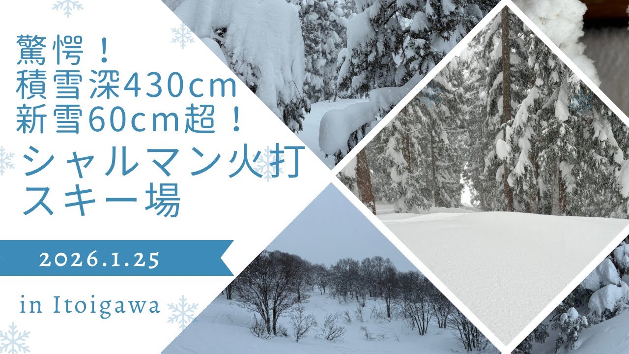 [#シャルマン火打 ]積雪430cmだ！パウダー60cmだ！シャルマン火打スキー場2026年1月25日