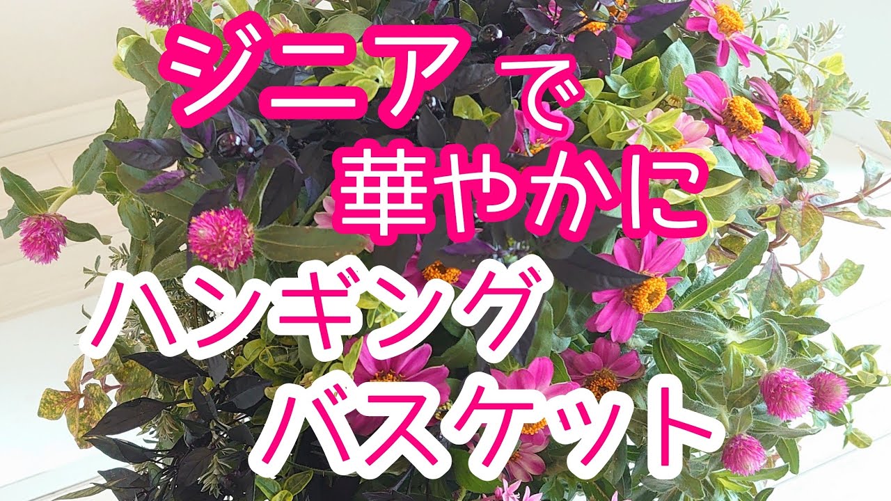 【ハンギングバスケット】暑い夏から晩秋に向けて丈夫な草花で華やかに彩ります