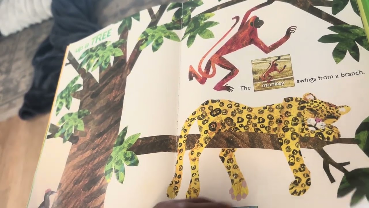“Hear Bear Roar” by Eric Carle