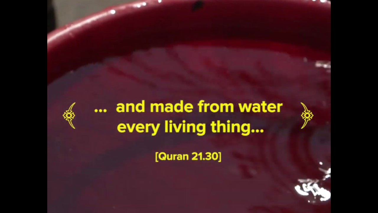 Clean water saves lives