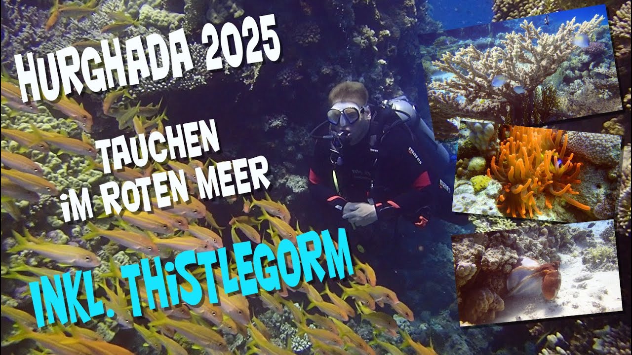 Tauchen in Hurghada 2025 - Der komplette Film - Wrack der SS Thistlegorm, Delfine & Schildkr&ouml;ten
