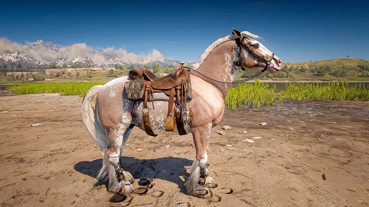 The rarest & most beautiful horse in RDR2