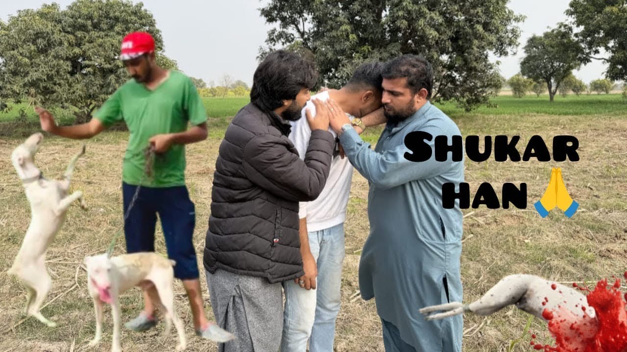 Shukar hn 🙏Gultier 🐕 Dog mil gya