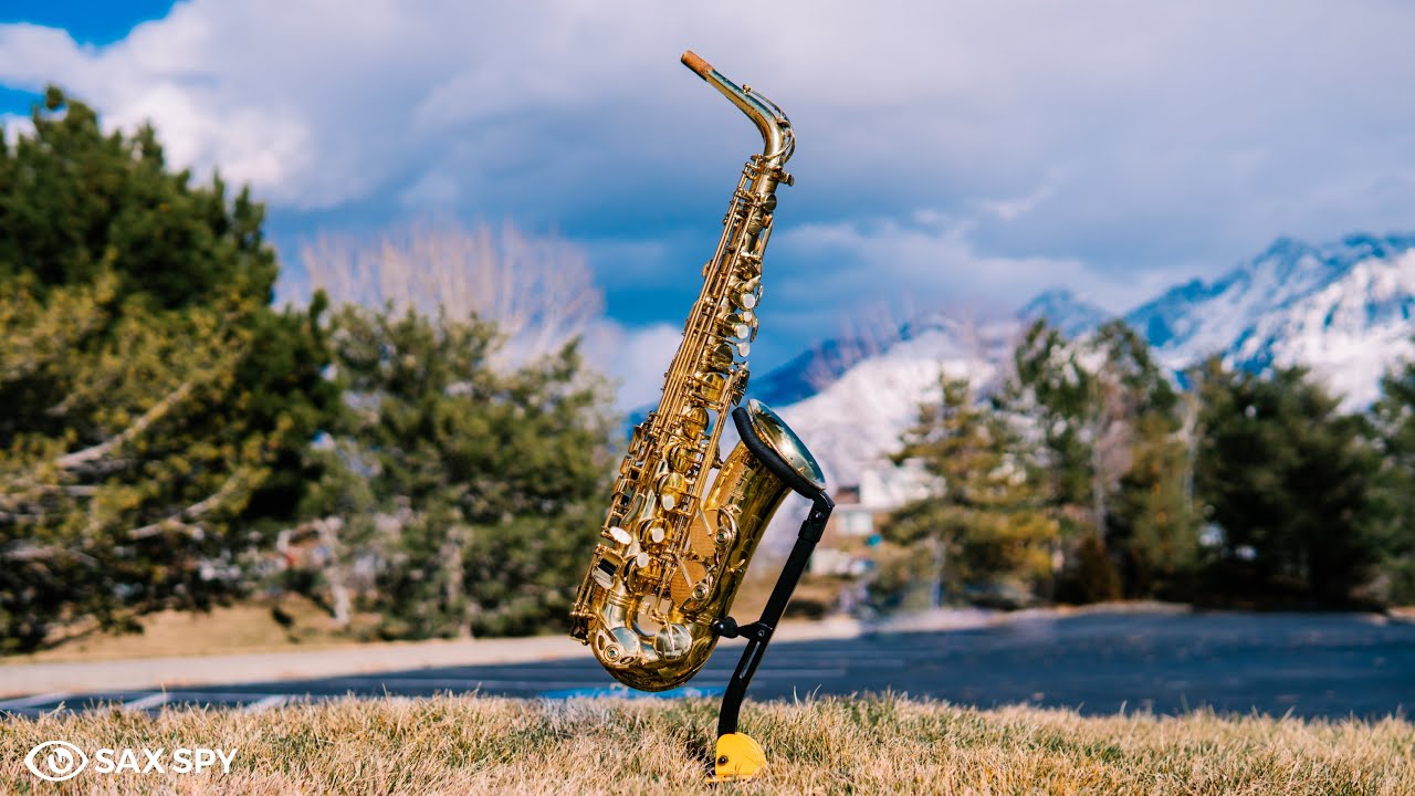 Selmer Mark VI против Selmer SA80 II