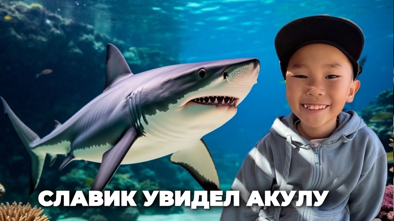Славик увидел акулу в океанариуме в Анапе