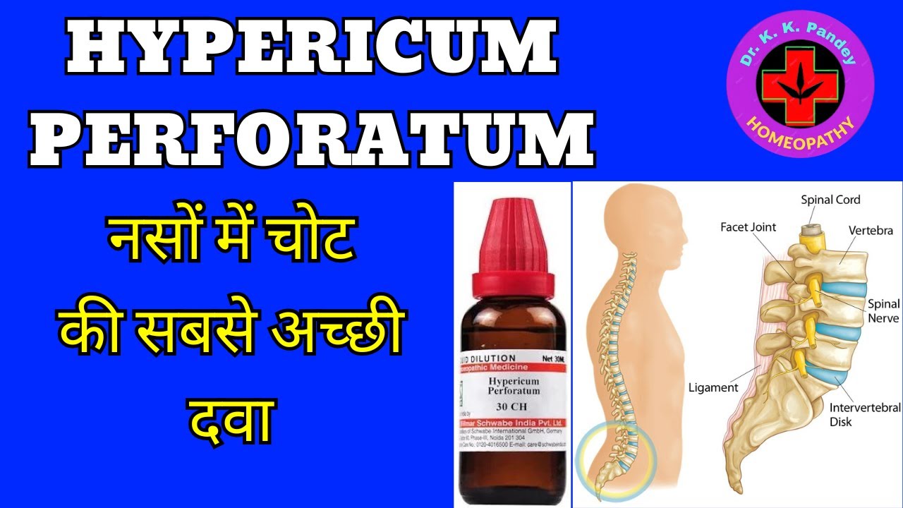 Hypericum Perforatum | Hypericum 30, 200, 1M, Q Homeopathy Uses in Hindi