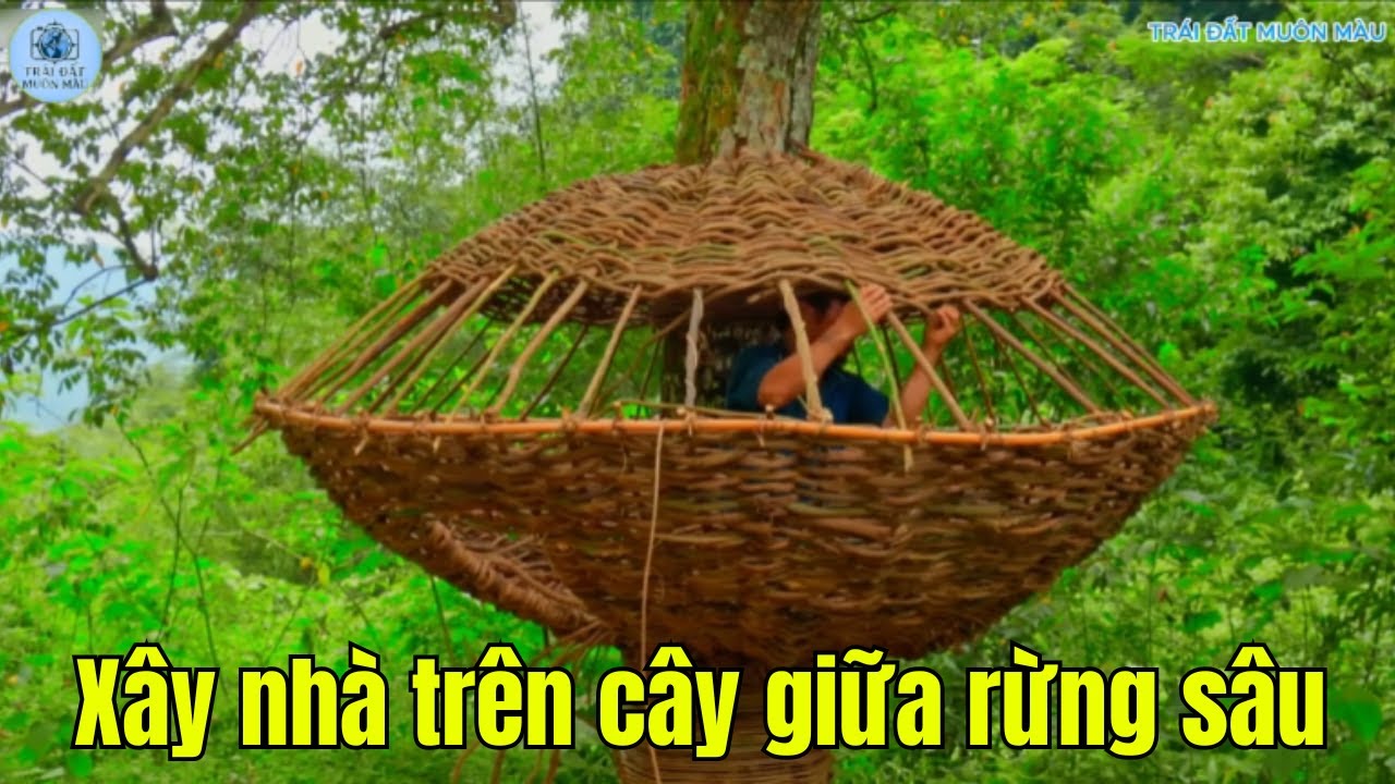 Sinh tồn : Xây nhà trên cây giữa rừng – Hành trình sinh tồn ngoạn mục!