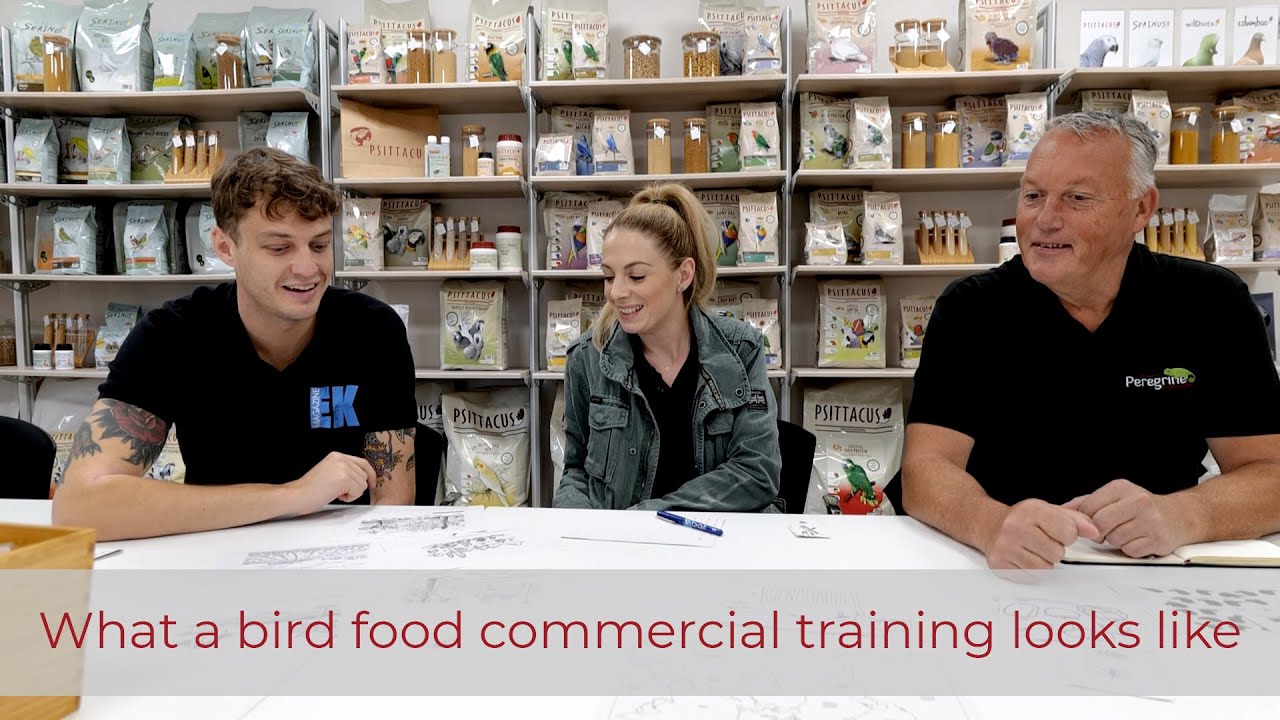 C&oacute;mo es un curso de formaci&oacute;n comercial de alimentos para aves de compa&ntilde;&iacute;a