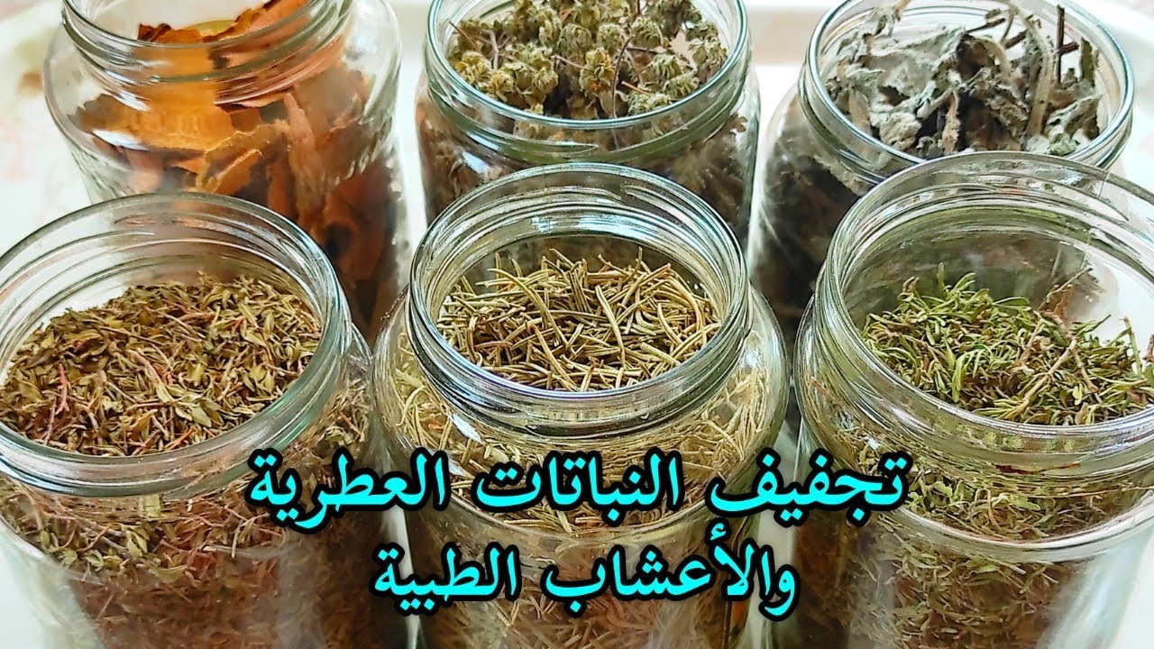 طريقة تجفيف النباتات العطرية والأعشاب الطبية/Drying aromatic and medicinal plants#video#videos#food