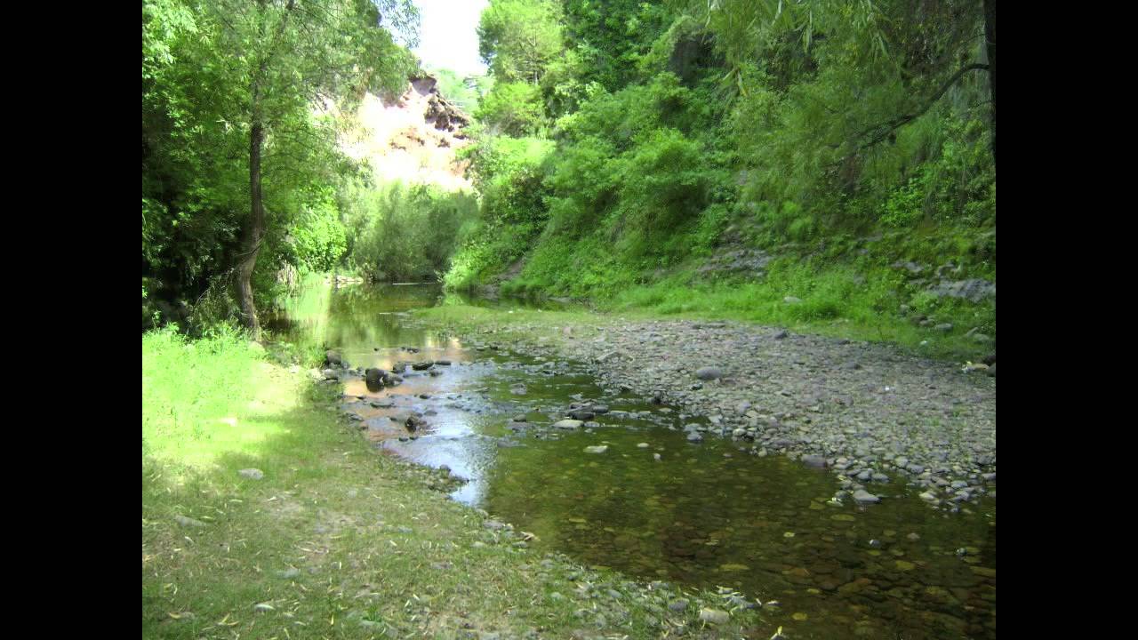 El Tarachi - Los Murrieta