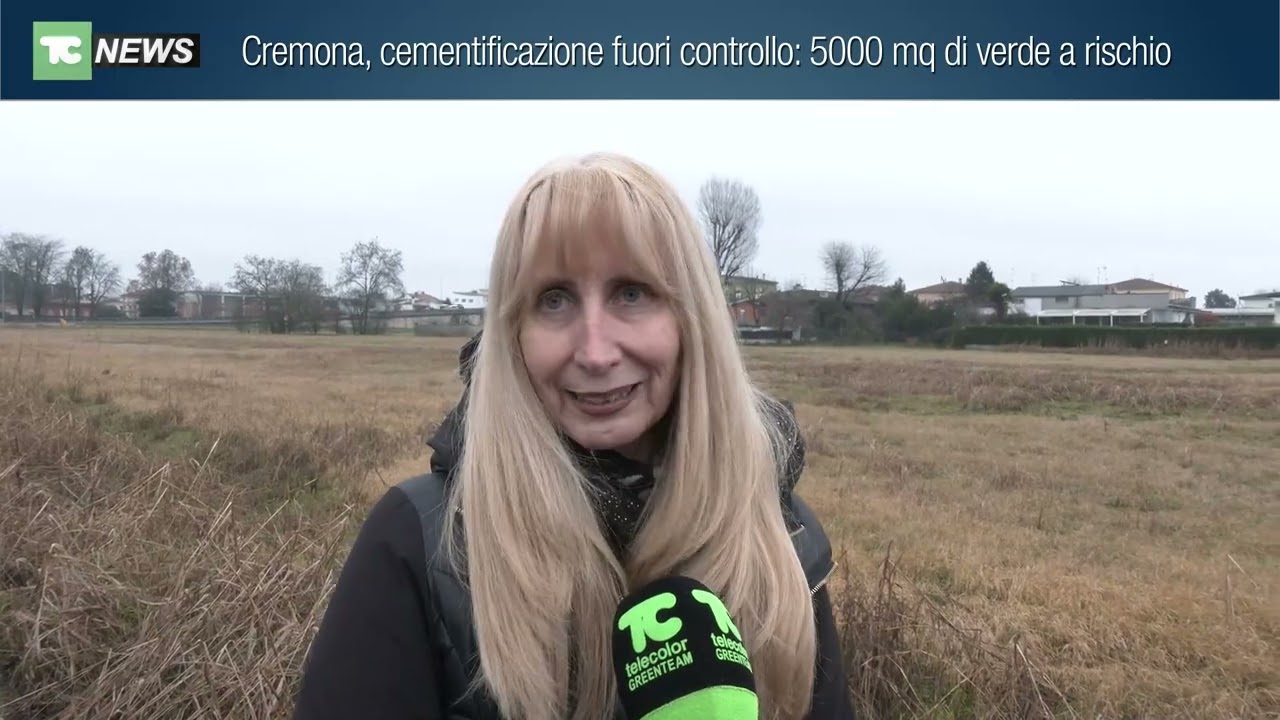 Cremona, cementificazione fuori controllo: 5000 mq di verde a rischio