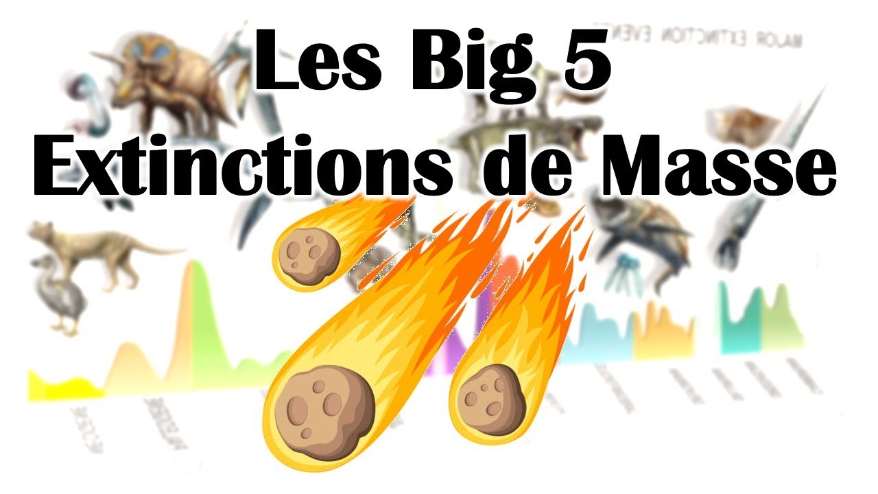 Les 5 grandes extinctions de masse