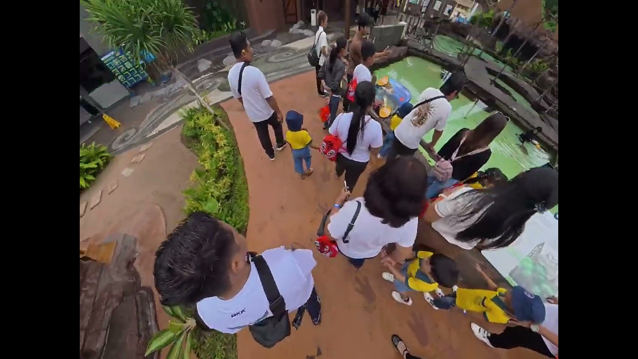 Marine Safari Bali