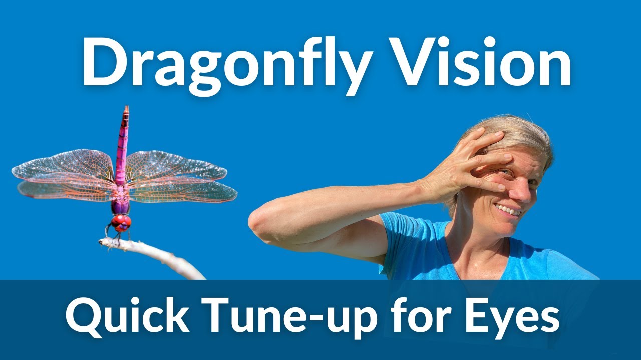Dragonfly Vision - Feldenkrais Seated Lesson to Sharpen Vision - 7 minutes
