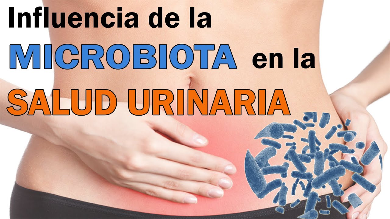 Aprende Cómo INFLUYE la MICROBIOTA en las INFECCIONES URINARIAS