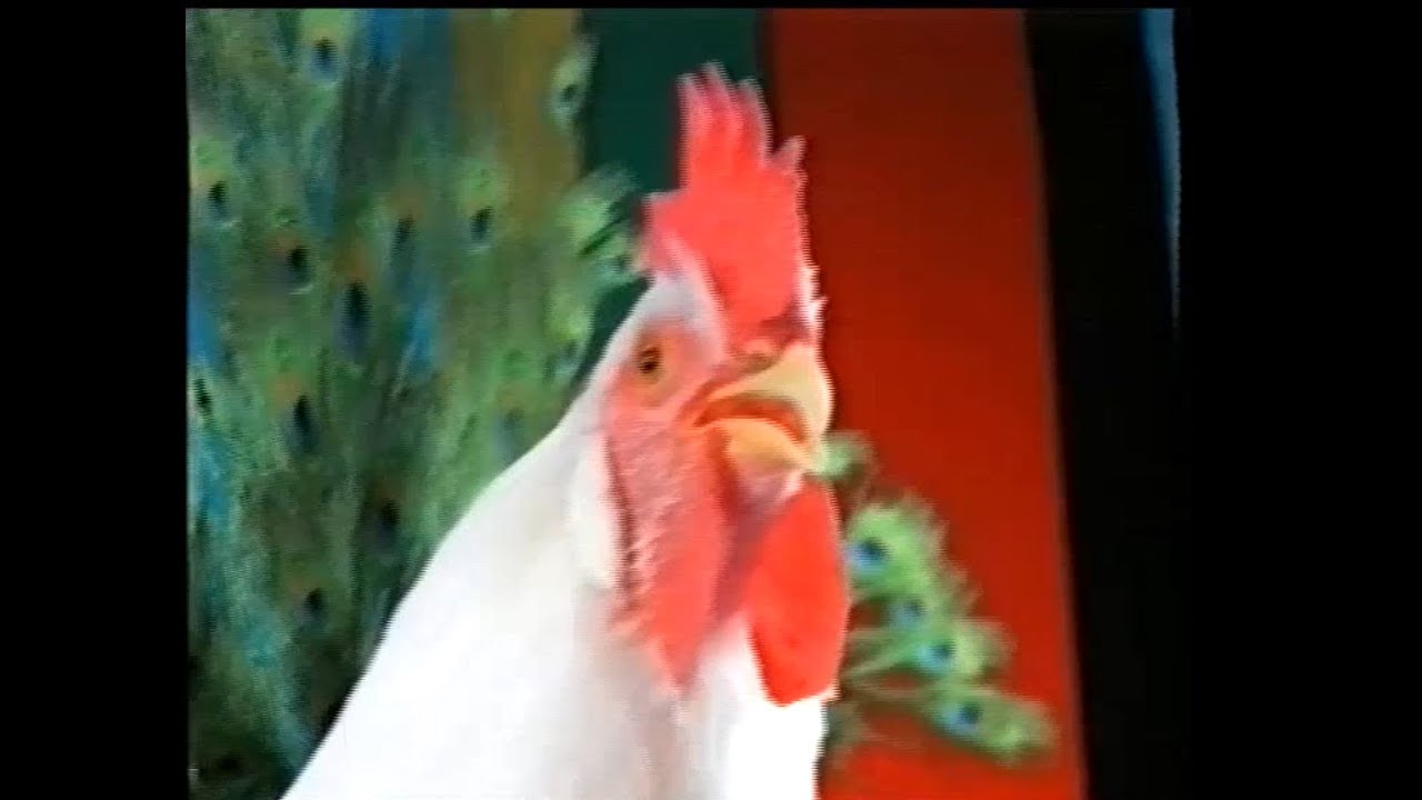 kipburgers - vleesindustrie commercial fastfood