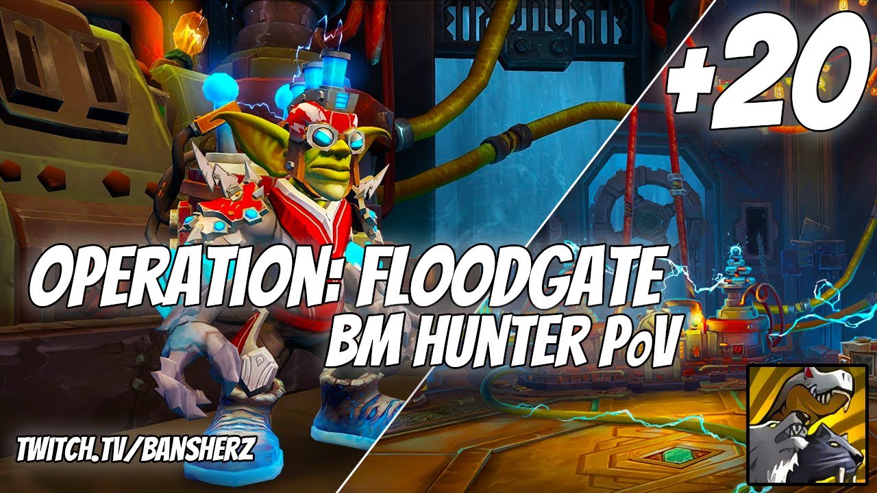 +20 Операция «Флудгейт» BM Hunter PoV