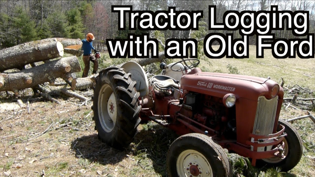 Tractor Logging a Giant Pine
