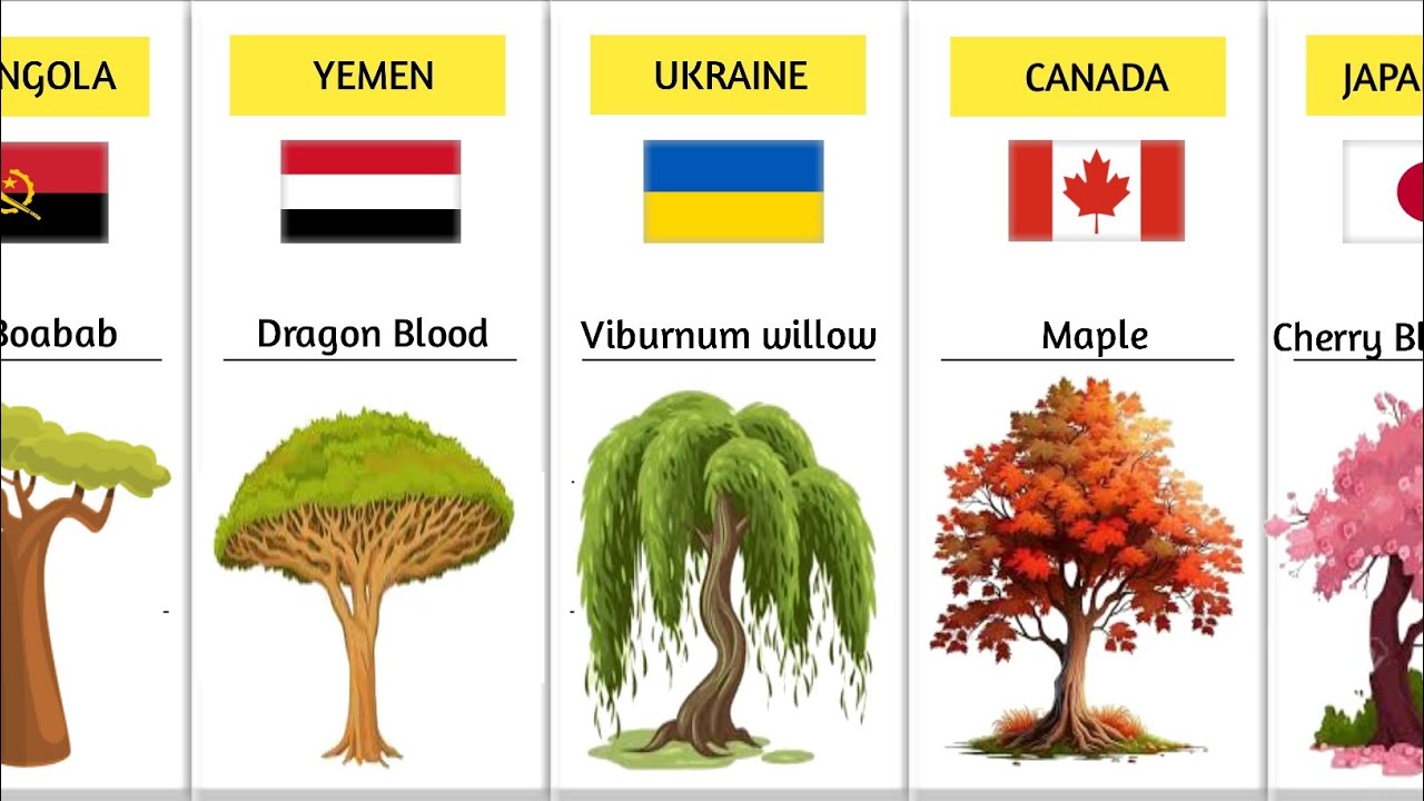 National Trees from different countries.