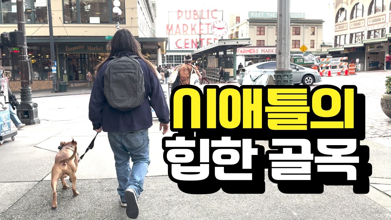 [미국소소일상🇺🇸] 계획 없이 걸었더니 보이기 시작한 것들 | 새해 영감 찾기 실패(?) 성공(?)