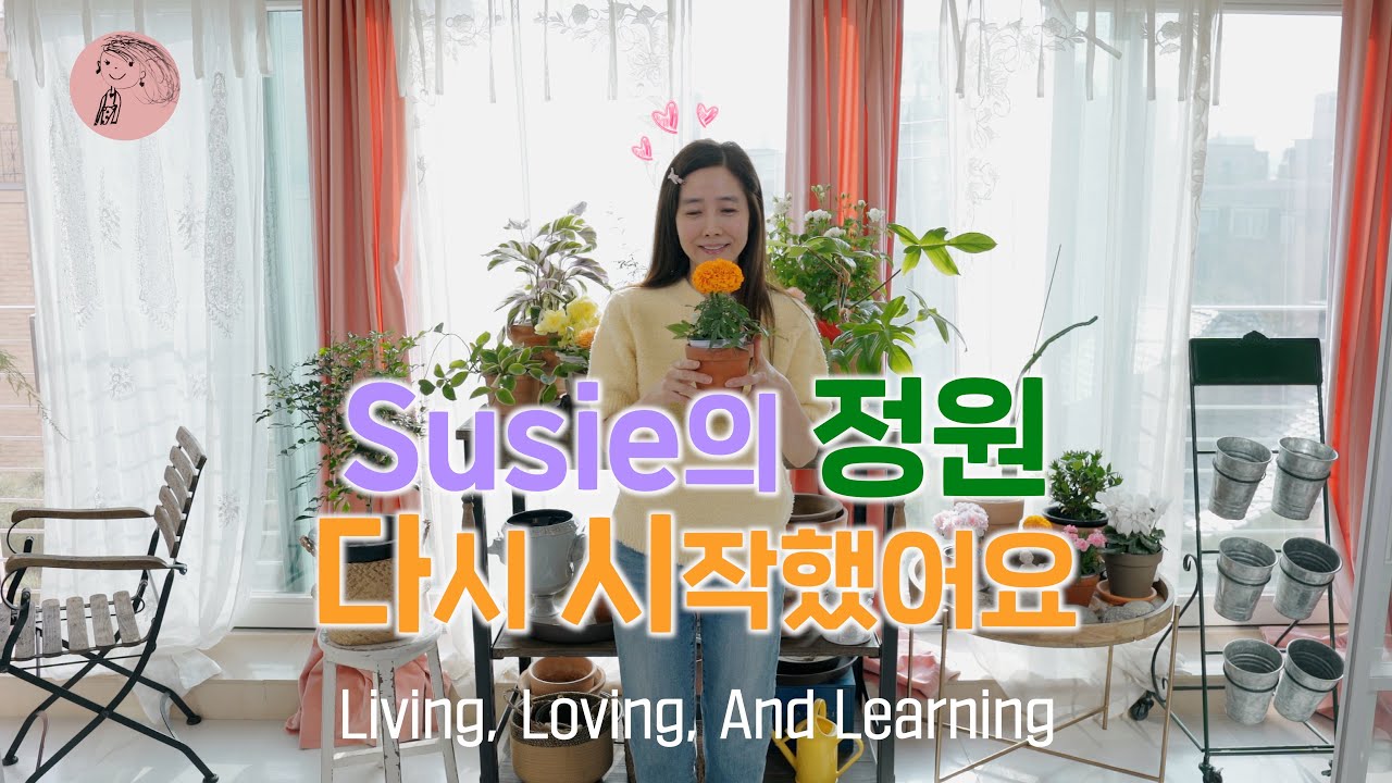 Susie의 미니 정원에 오신 걸 환영합니다~